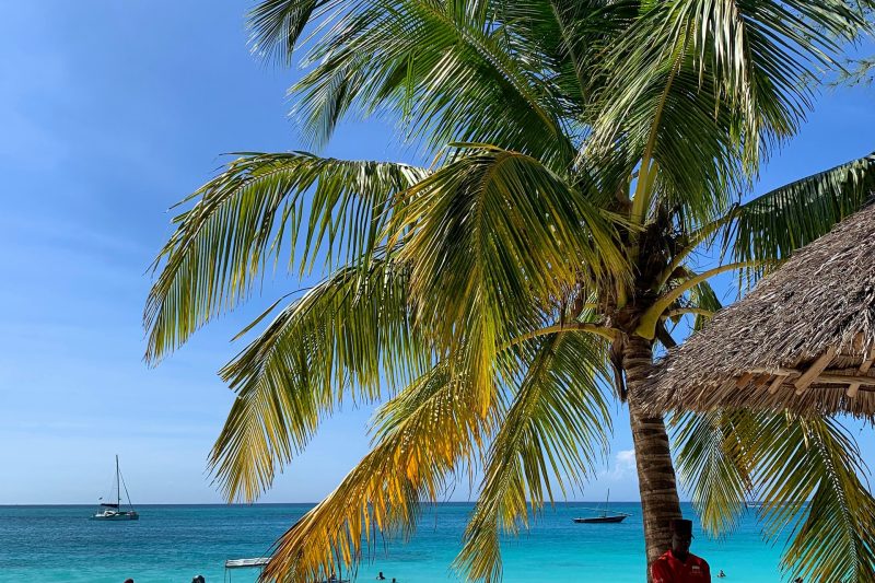 11 Days Masai Mara to Zanzibar | Kenya Safari and Beach