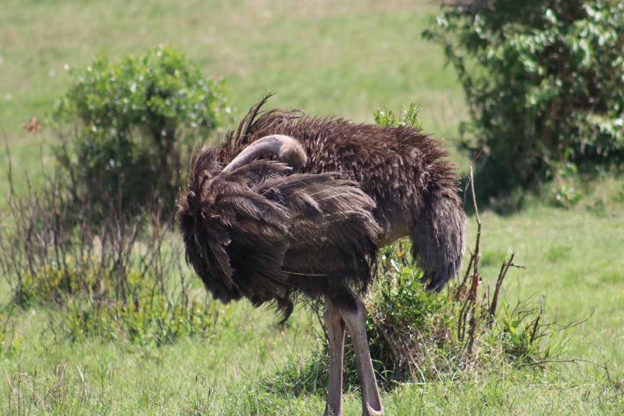 WhatsApp Image 2025-10-13 at 18.46.53