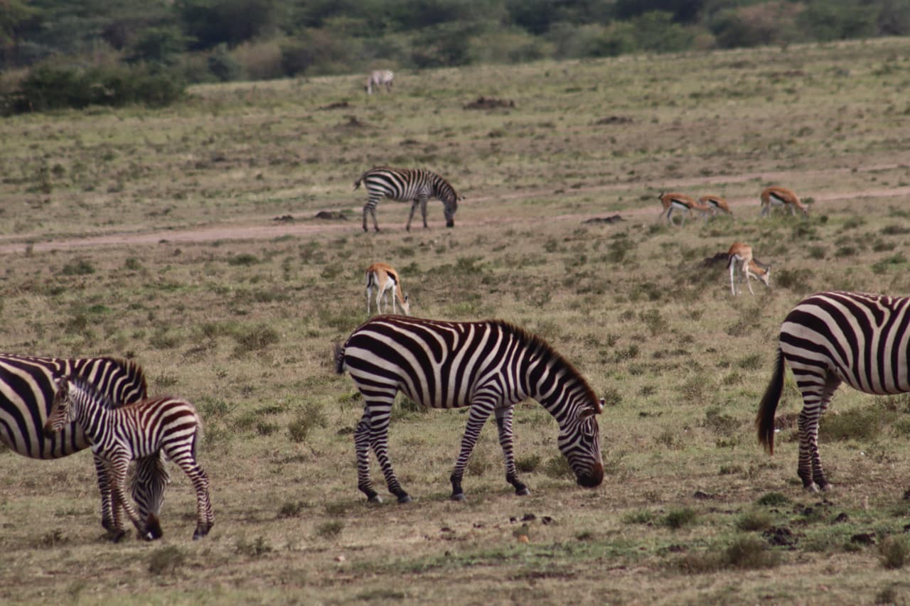 WhatsApp Image 2025-10-13 at 18.47.12