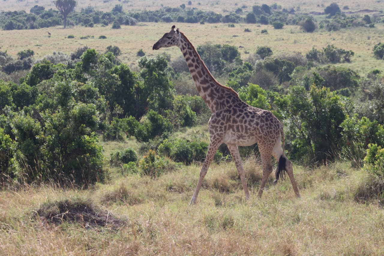 WhatsApp Image 2025-10-13 at 18.47.13