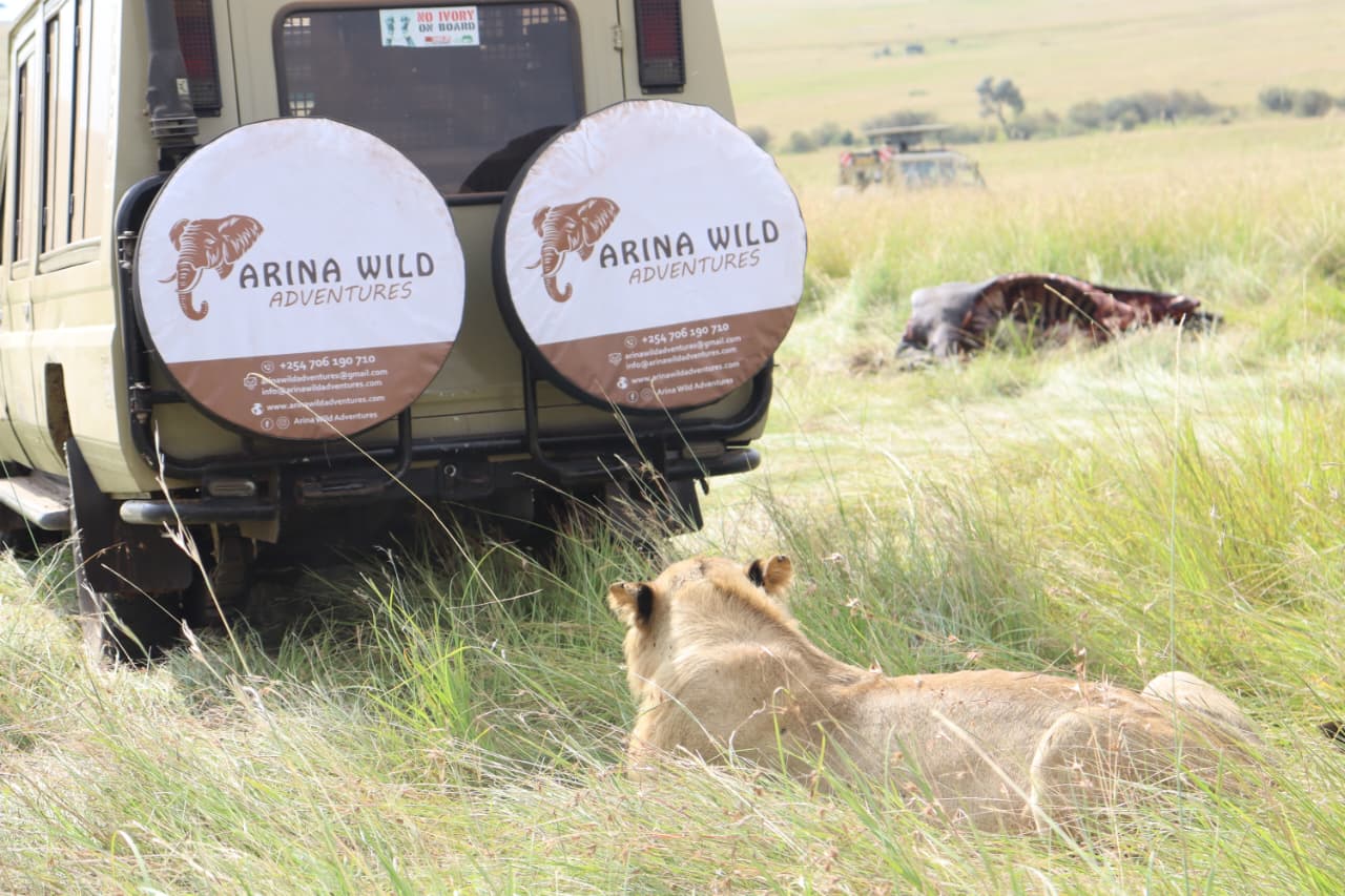 WhatsApp Image 2025-10-13 at 19.17.48