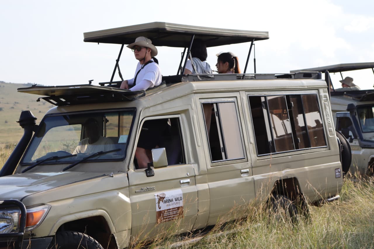 WhatsApp Image 2025-10-13 at 19.17.51