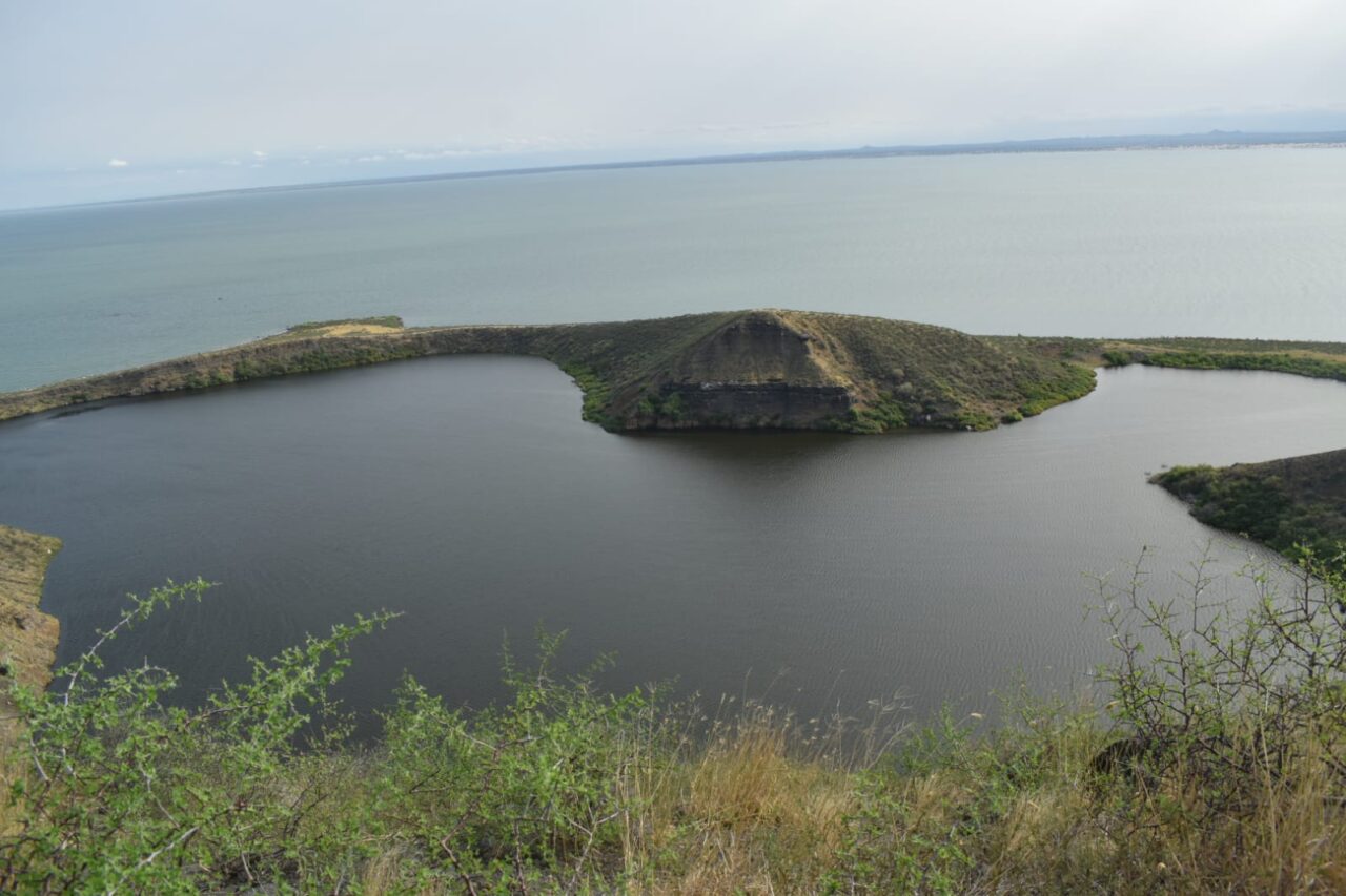 a2eb4d3a-1bad-4ef8-8b80-e263b2d700f5